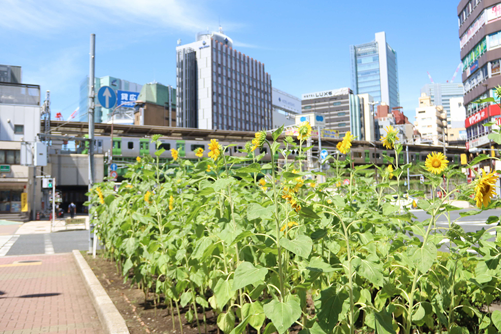 ゆうぽうと跡地「五反田JPビル」開業 五反田食堂・ホール・ホテル「OMO」 - Impress Watch