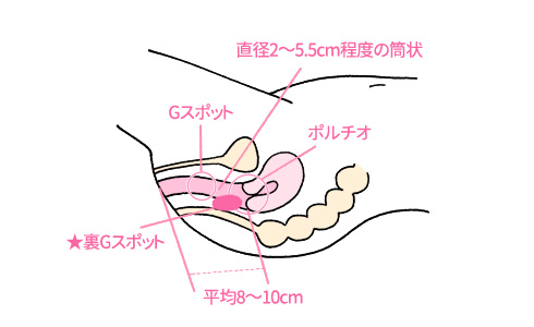 膣ケア・膣トレはデリケートゾーンの不調に効果的！初心者もできる基本方法｜wakanote