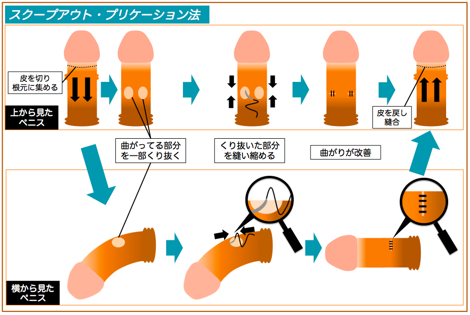 左向きの動物 on X: 