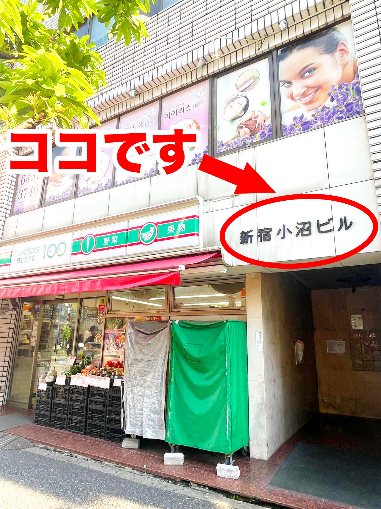 新宿・歌舞伎町のおすすめ風俗店｜【みんなの激安風俗(みんげき)】