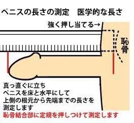 ちんこトイレットペーパーチャレンジで簡単にサイズ測定しよう！