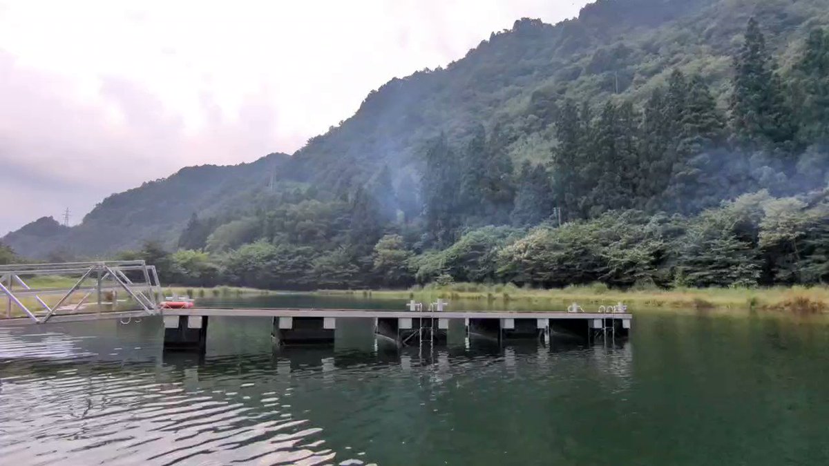 ⛩二荒山神社@栃木県日光市｜黄金の良い縁うさぎに出会える日光の神社🐇✨ | mokuri⛩全国御朱印ガイドが投稿したフォトブック |