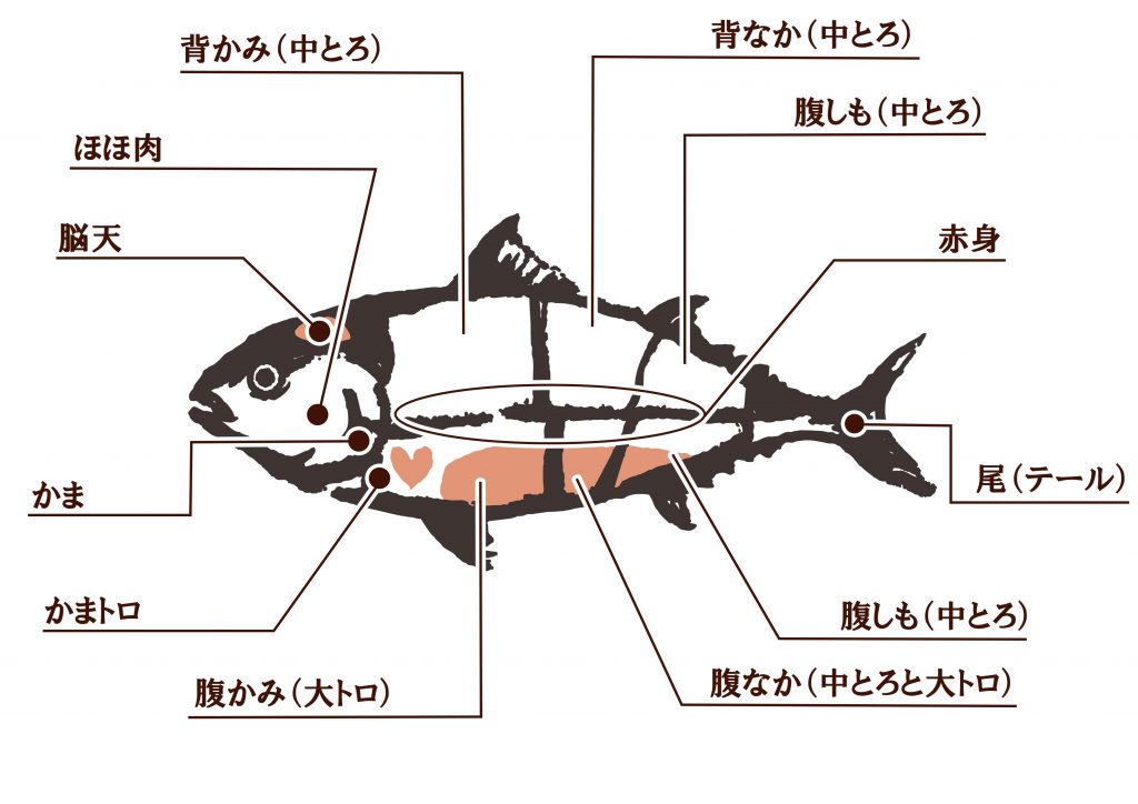 下ネタという概念が存在しない退屈な世界 マン○篇 4巻 (ブレイドコミックス) (Japanese