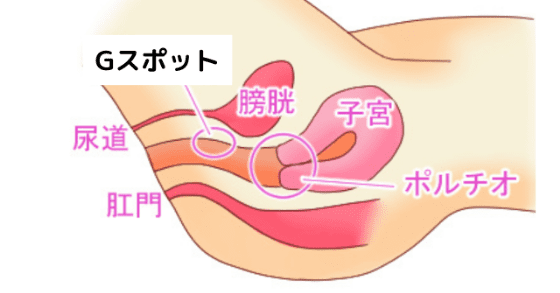 女性を心も体もイかせる科学的な方法６選