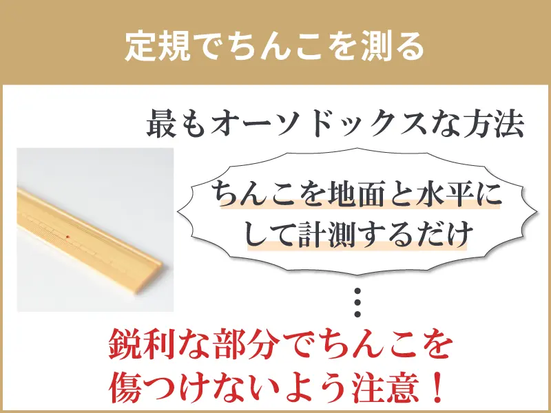 日本人ペニスの平均サイズと世界評価・女性が性交SEXに満足するちんこの大きさは？