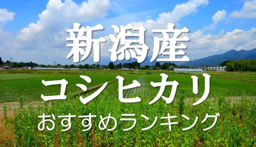 新潟県産 みずほの輝き 5kg