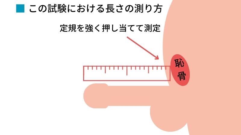 医師監修】男性器の平均サイズとは？ - 夜の保健室