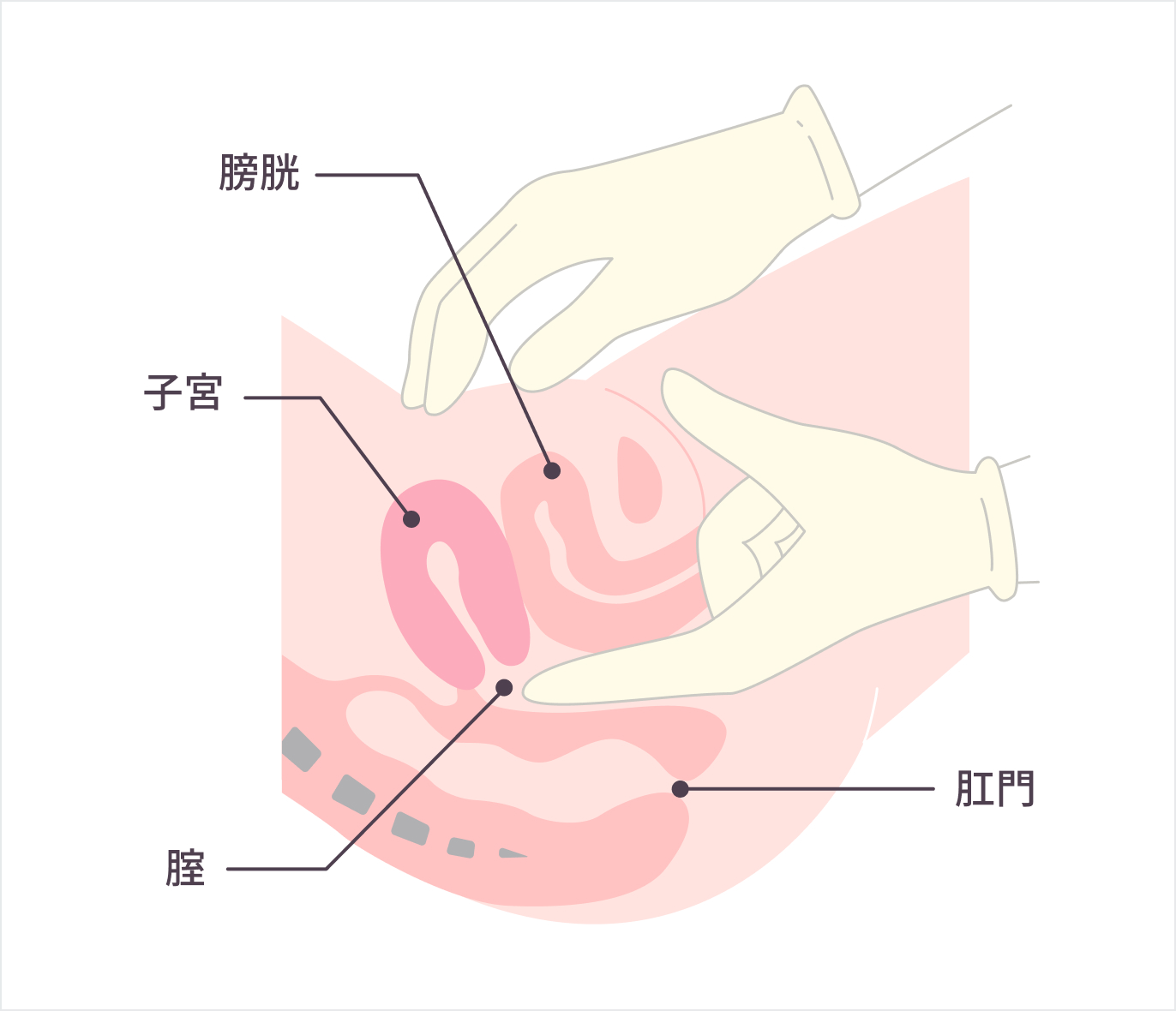 男の潮吹きとは気持ちいい？事前準備・やり方を解説 - 男 の