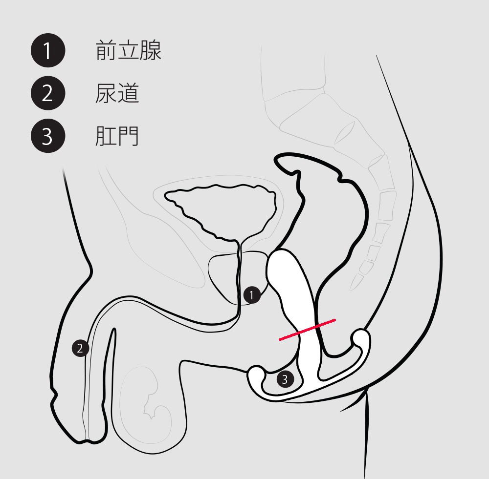 脱力がカギ！アネロスで ”本物” のドライを体験する方法