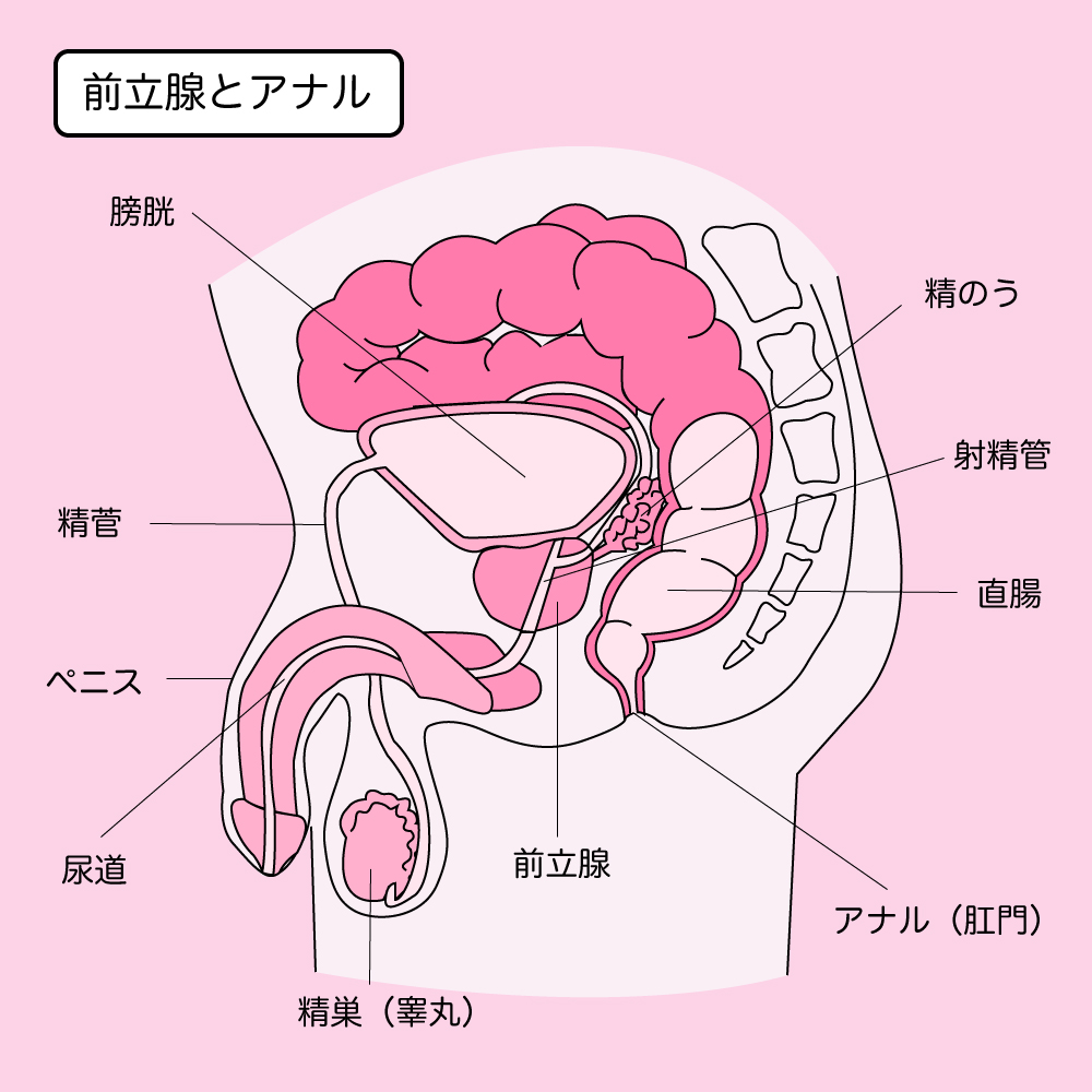 会議：我々はアニスのお尻と太ももの間になにを挟むべきか？[勝利の女神：NIKKE] | ゲムぼく。