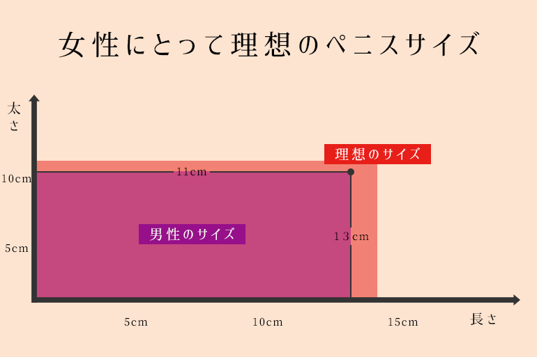 短小包茎とは！短小は何センチから？日本人の平均サイズや治療法 - アトムクリニック