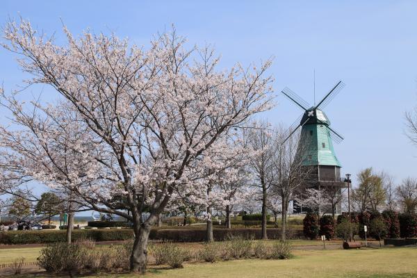 プレイアトレ土浦（土浦市）うぃーくえんど茨城