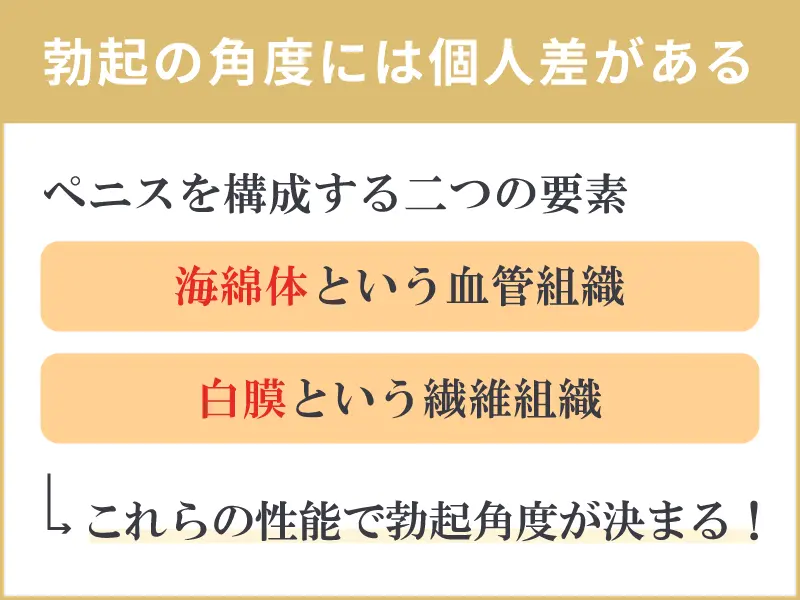 大学生　下反りちんぽ　オナニー　射精あり