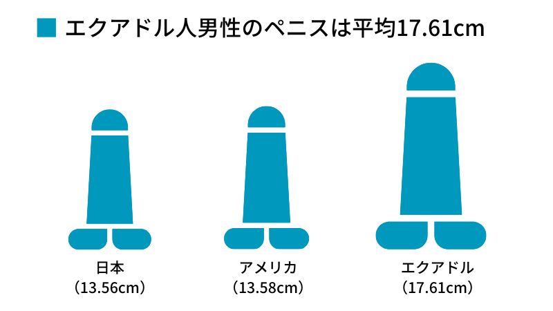 日本人の平均ペニスサイズが明らかに！ | TENGA