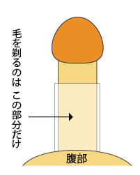 ガチ反り|アダルトグッズや大人のおもちゃ、玩具の通販ショップのNLS