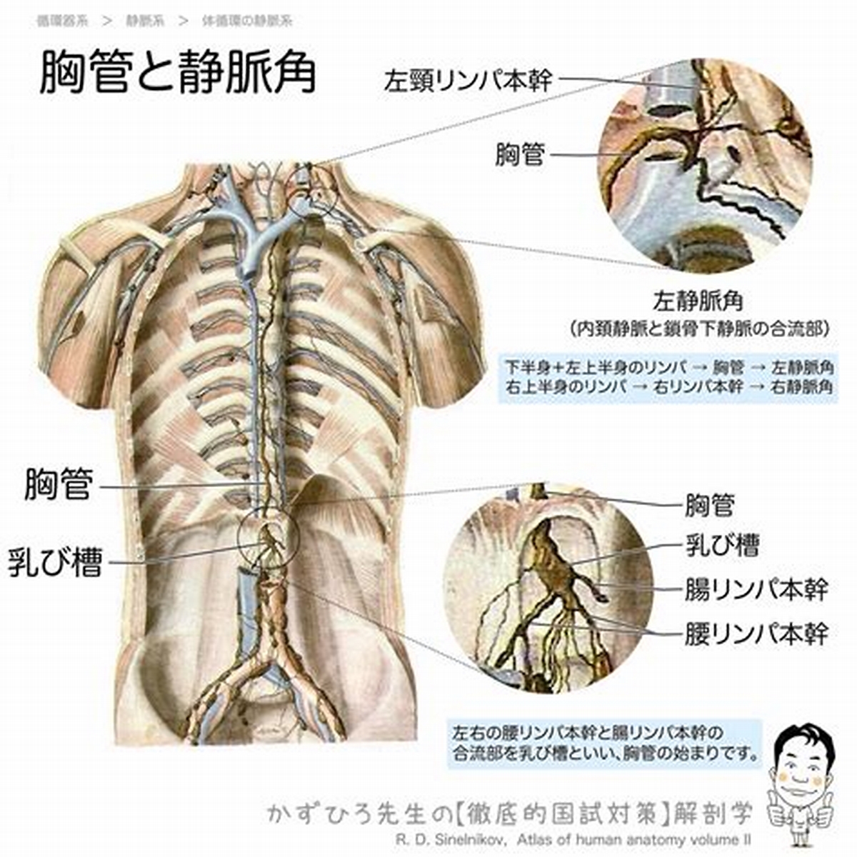 マッサージでくすぐったい経験をした方へ。。 – タイ古式マッサージ＆整体 バーンラック人形町本店