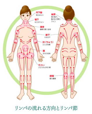 そけい部のマッサージ、なにがいいの？「やり方まとめ」 | 美的.com