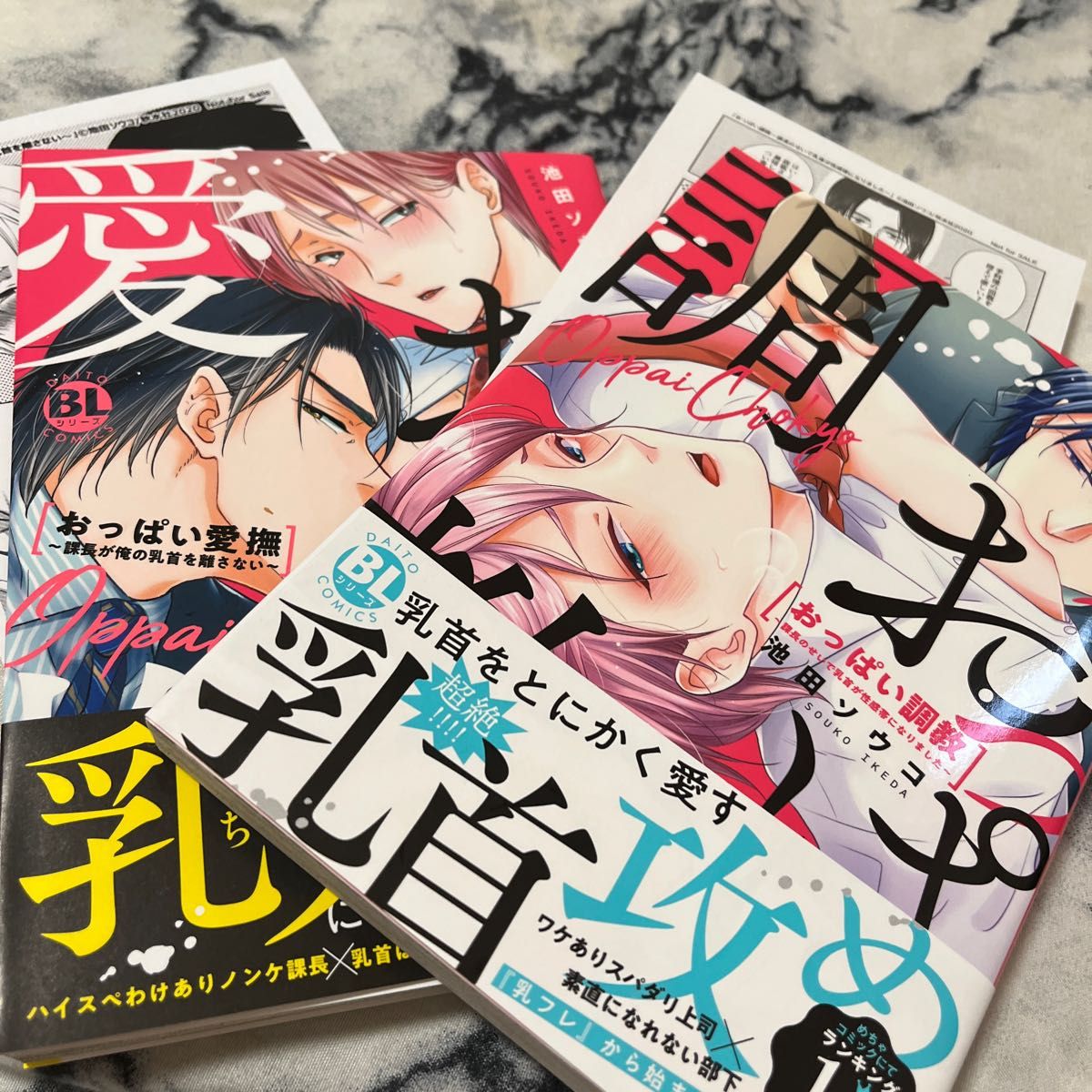 清楚ビッチ〜淫乱美女の拘束調教〜：緊縛・爆乳・巨乳・おっぱい丸出し・アヘ顔 | 電脳癒しの本屋さん |