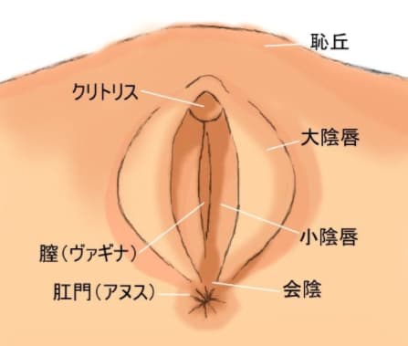 変態女子が解説】名器まんこってどんなの？努力で名器まんこになれるんです！ | Trip-Partner[トリップパートナー]