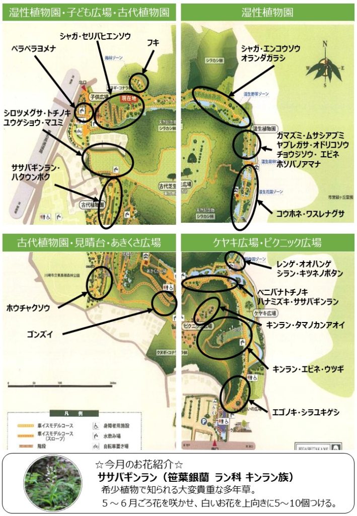 スーパーホテル新横浜 高濃度炭酸泉「ハナミズキの湯」 | 横浜