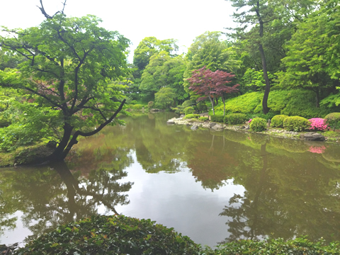 完全個室居酒屋 もみじ咲 大門浜松町店】 |