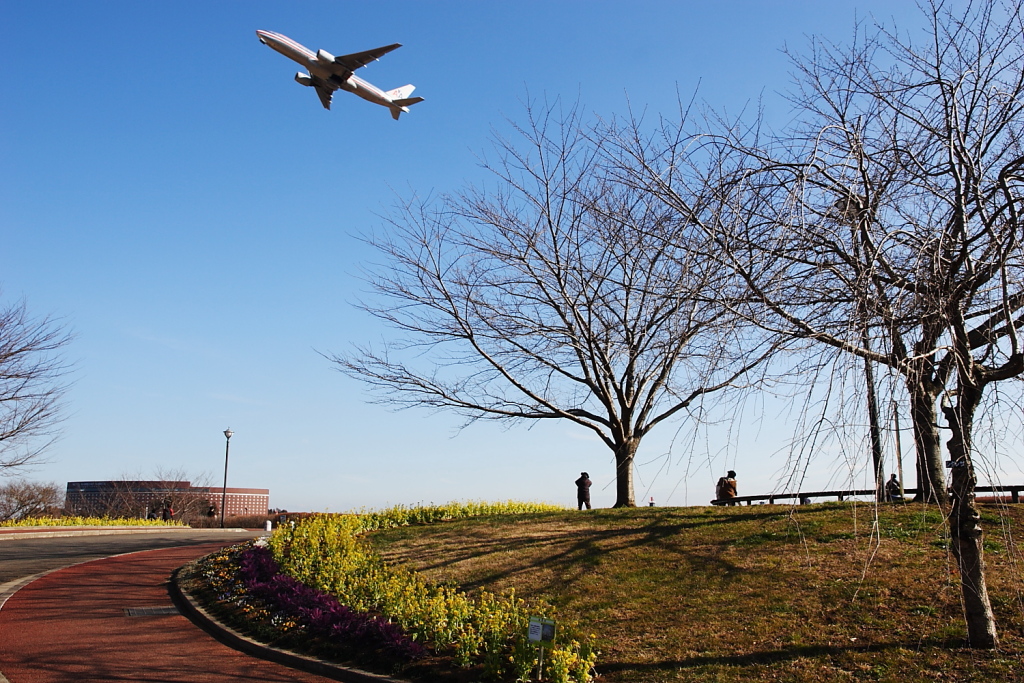 ジェット機と成田さくらの山公園」 | ウェビックコミュニティ