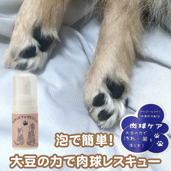 夏でも冷たい肉球、大丈夫？ | 【老犬ケア】老犬ホーム・老猫ホーム情報サイト