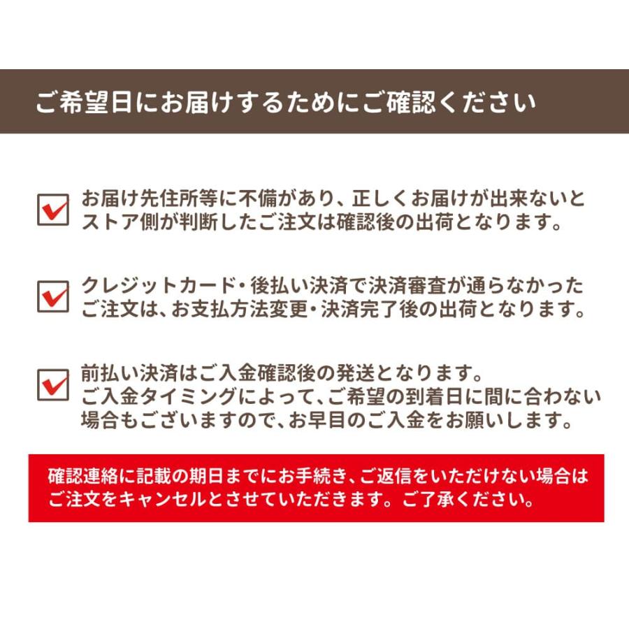 日本製 [ダブル×２] ソープトレイ2枚セット まな板などのドライビングボードにも