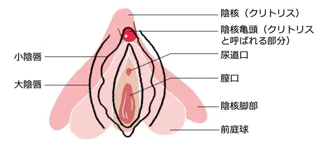 オナニーの正しい握り方