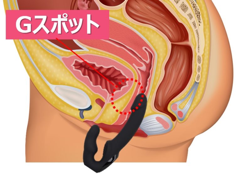 潮吹き」と「イク」は別物!?潮吹きの正体とは？ – メンズ形成外科 |