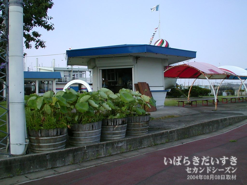 茨城県土浦市の花屋「フルール・アンブーケ」をご紹介 | フラワーギフトはプロのお花屋さんにおまかせ！フジテレビフラワーネット