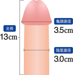 陰茎の大きさの基準は？ 大きく見せる方法も紹介