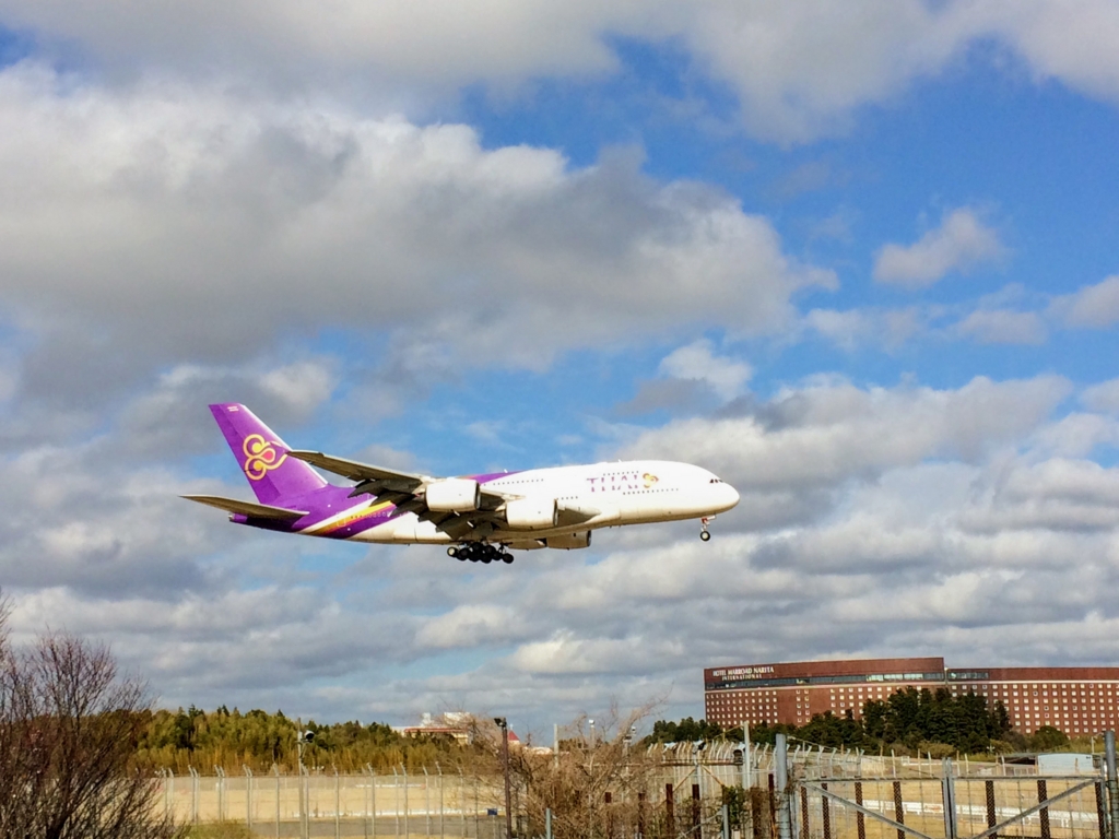 成田空港 さくらの山公園 さくらの丘公園