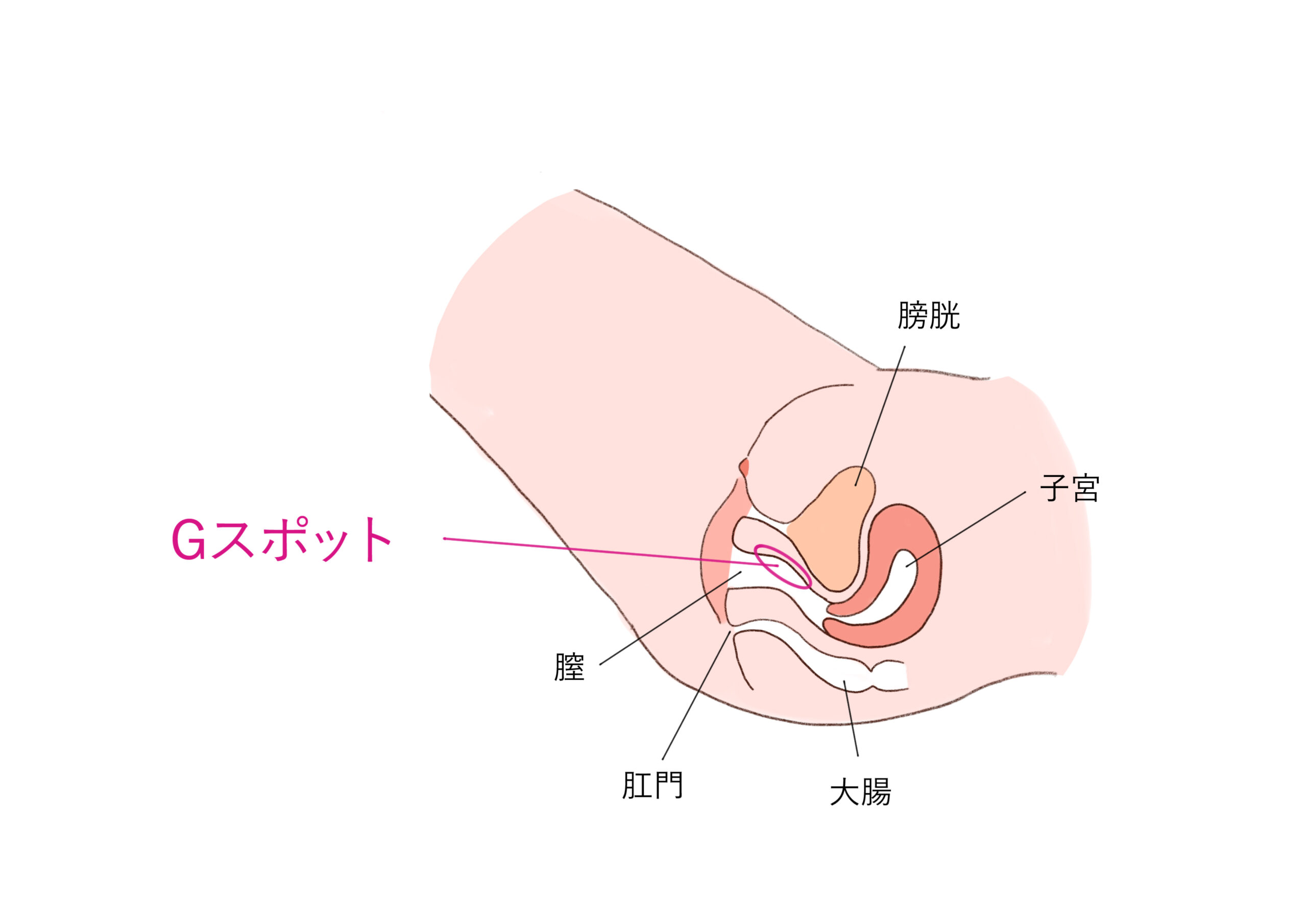 彼女をイカせるセックステクニック｜性感帯の知識やイカない原因も！