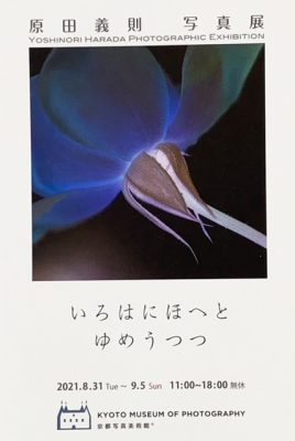 広尾】山種美術館「【特別展】日本画に挑んだ精鋭たち ―菱田春草、上村松園、川端龍子から松尾敏男へ―」 | リビング東京Web