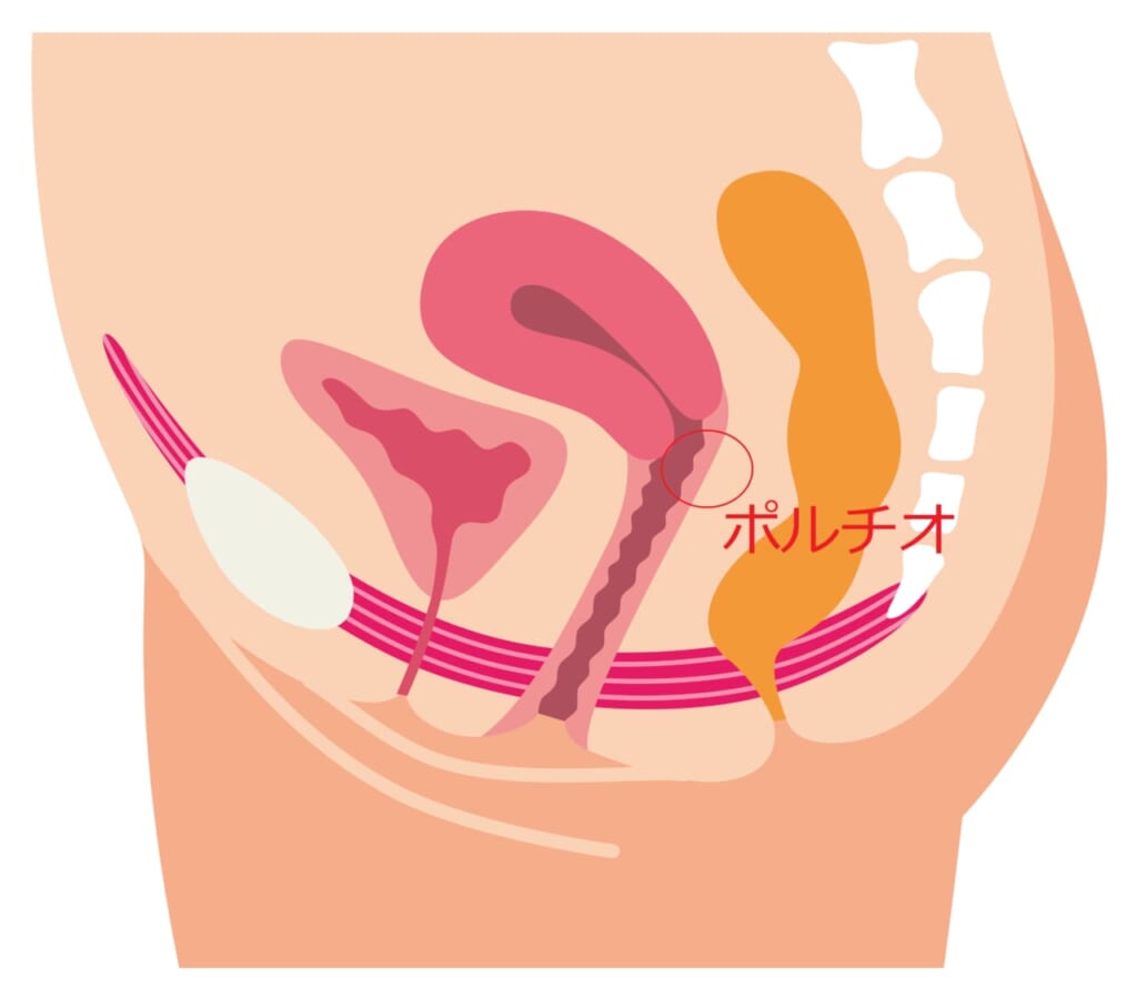 奥が気持ちいい ポルティ～オとは 何ぞや？