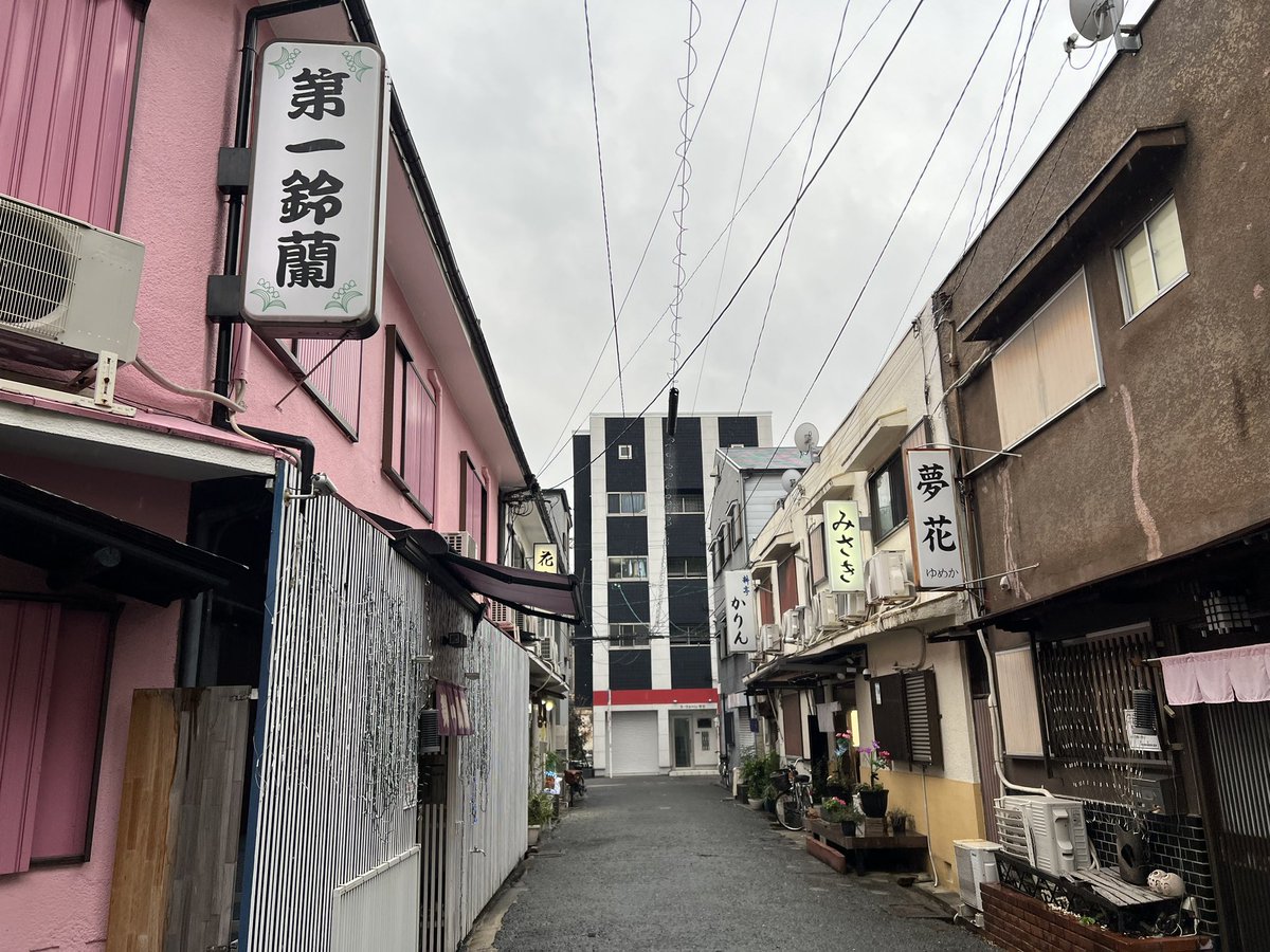 1年ぶりの滝井新地辺り、ひよこ🐥と廃スナックはしぶとく残ってた。滝井新地に🐈‍⬛るい猫まさかまさかの新店舗😄 #滝井新地 #滝井新地辺り #滝井駅 