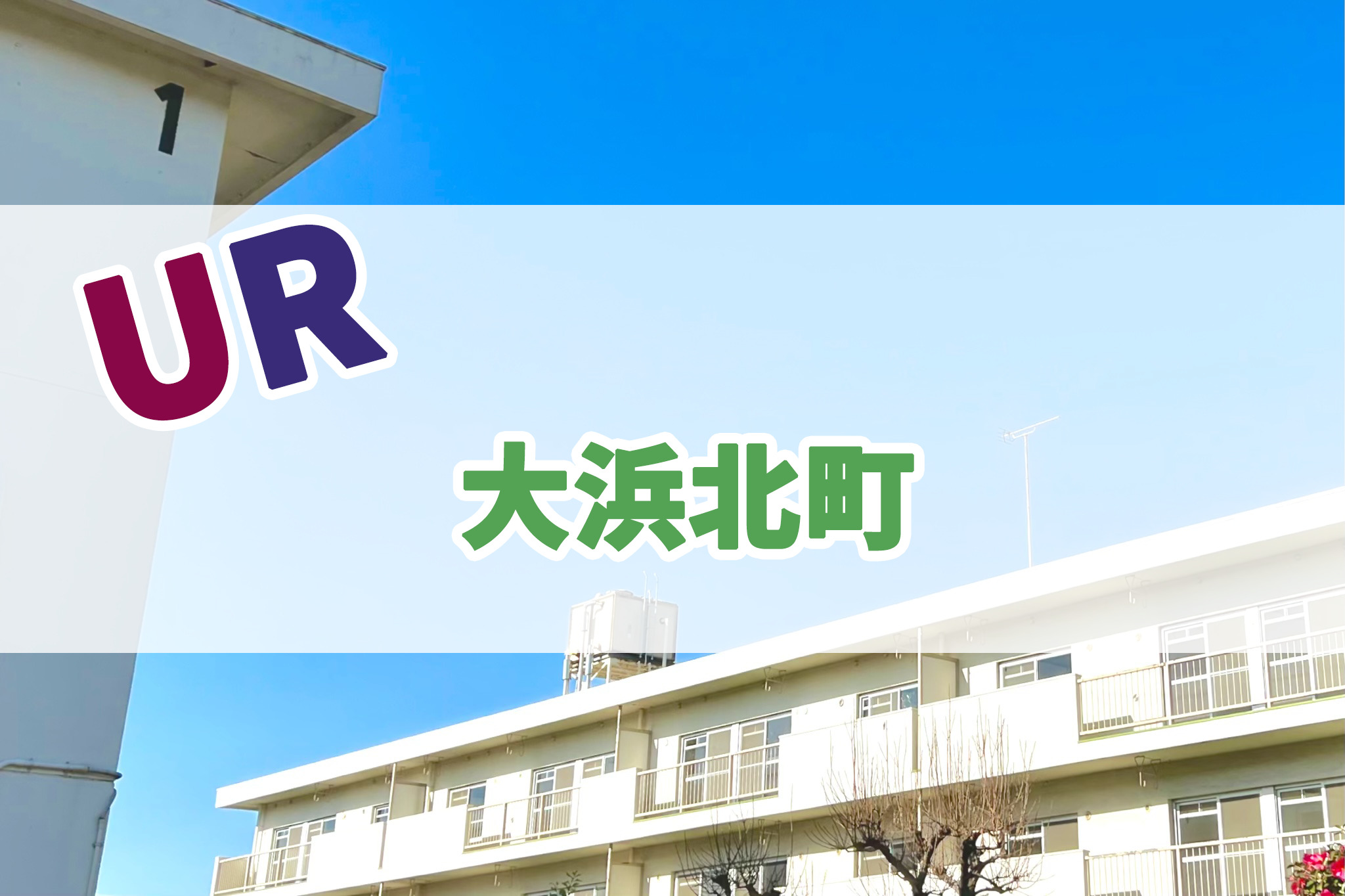 朝日プラザ大浜(堺市堺区大浜北町３丁)の建物情報｜住まいインデックス