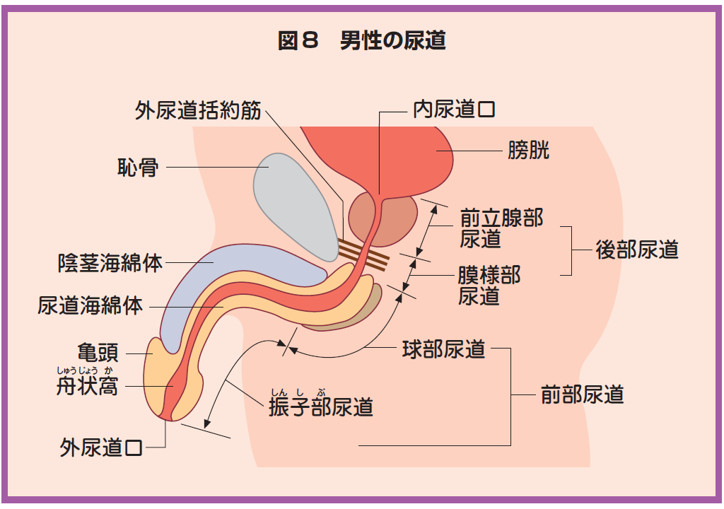 女性必見】オナニーでイク方法とコツ3つ！イケないときの対処方法もご紹介 | Ray(レイ)