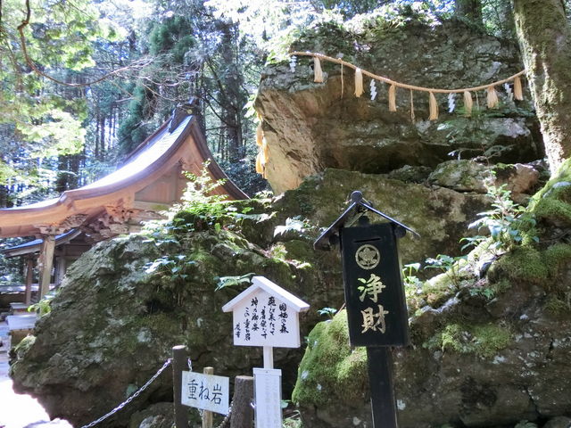 楽天市場】アンダーカバー 岡山の通販