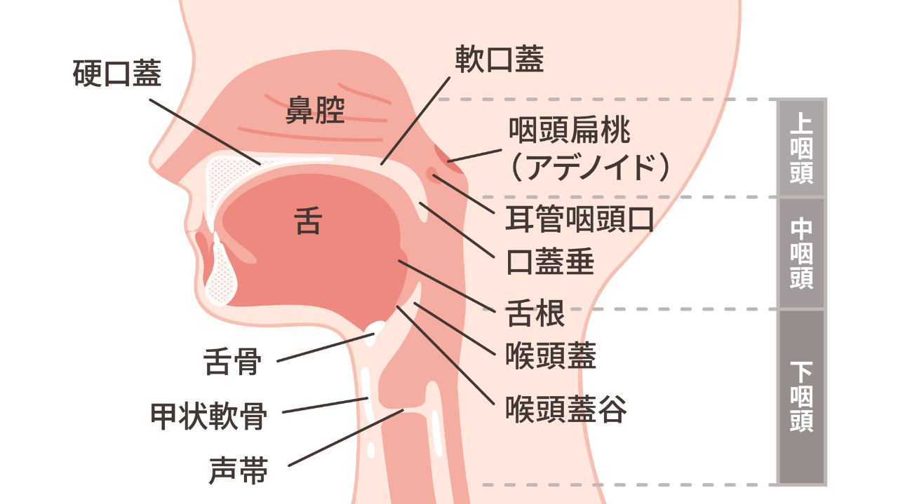 俺は卒業式でちんこを出そうとしている | オモコロ