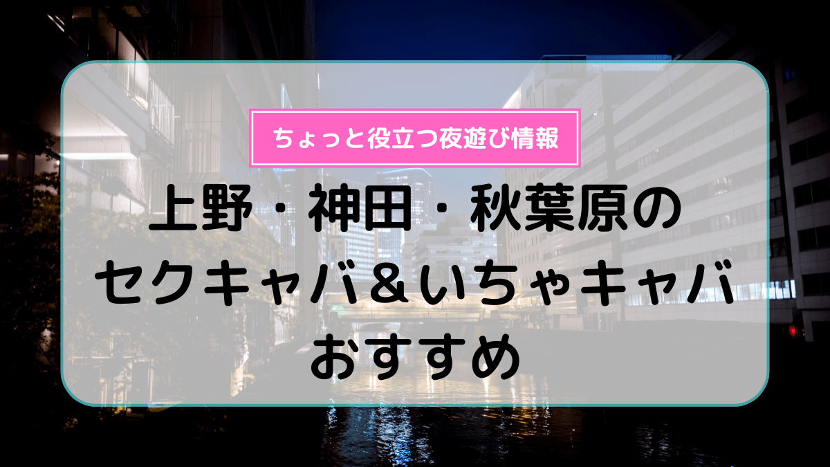 2024年最新情報】秋葉原のセクキャバ・いちゃキャバ3選！過激度・口コミ・料金などを紹介！ | purozoku[ぷろぞく]