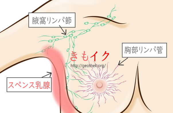 ダメダメ！イク！」明るく人当たりのいいむっちむち美人セラピスト 執拗におっぱいを押し当てて挑発して生挿入 膣内から精液を垂れ流 |