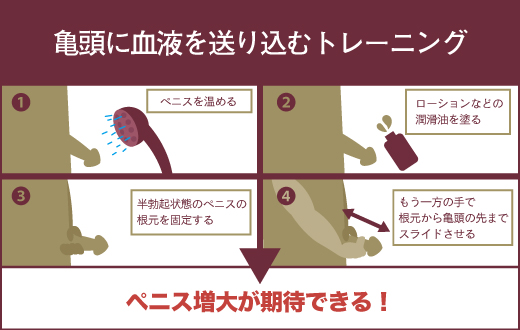 チントレのやり方を解説！早漏改善や勃起力アップに効果あり | ザヘルプM