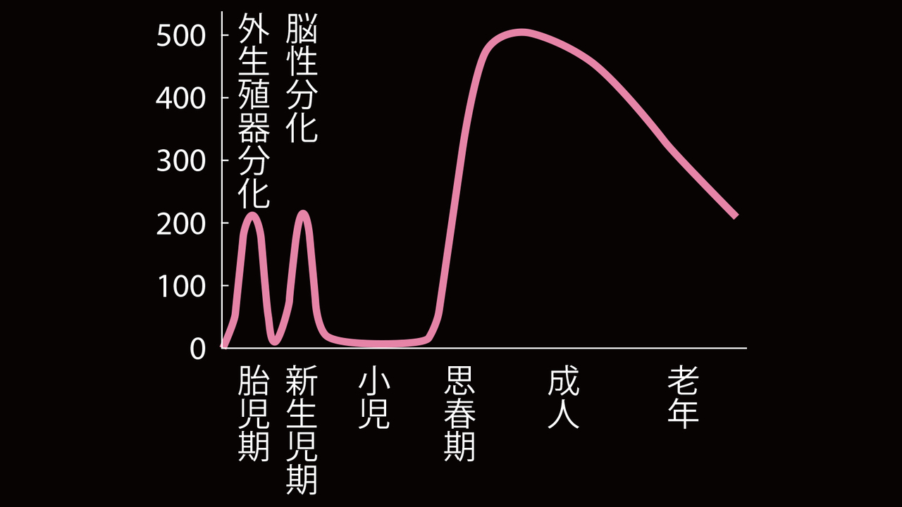 コンビニで買えるおすすめの精力剤は？即効性と使用時の注意点を解説！│健達ねっと