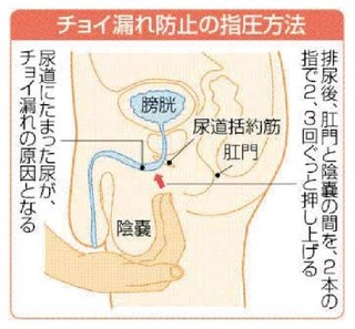 金玉がでかいメリット３選！アメリカの研究も紹介