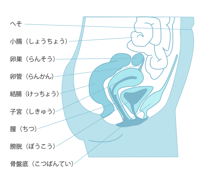 指入れは何本まで？痛くない？気持ちいいやり方のコツまで｜風じゃマガジン