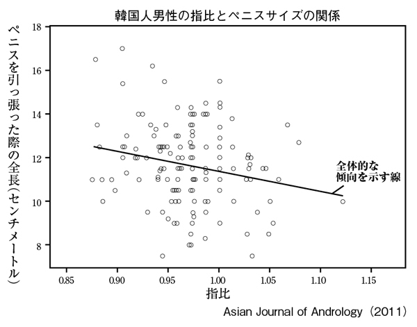 平均的なペニスの大きさを身近なものと比較しまくってみるとこうなる - GIGAZINE