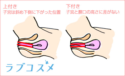 ラブコスメ - . 実は、膣の位置（上付き・下付き）で