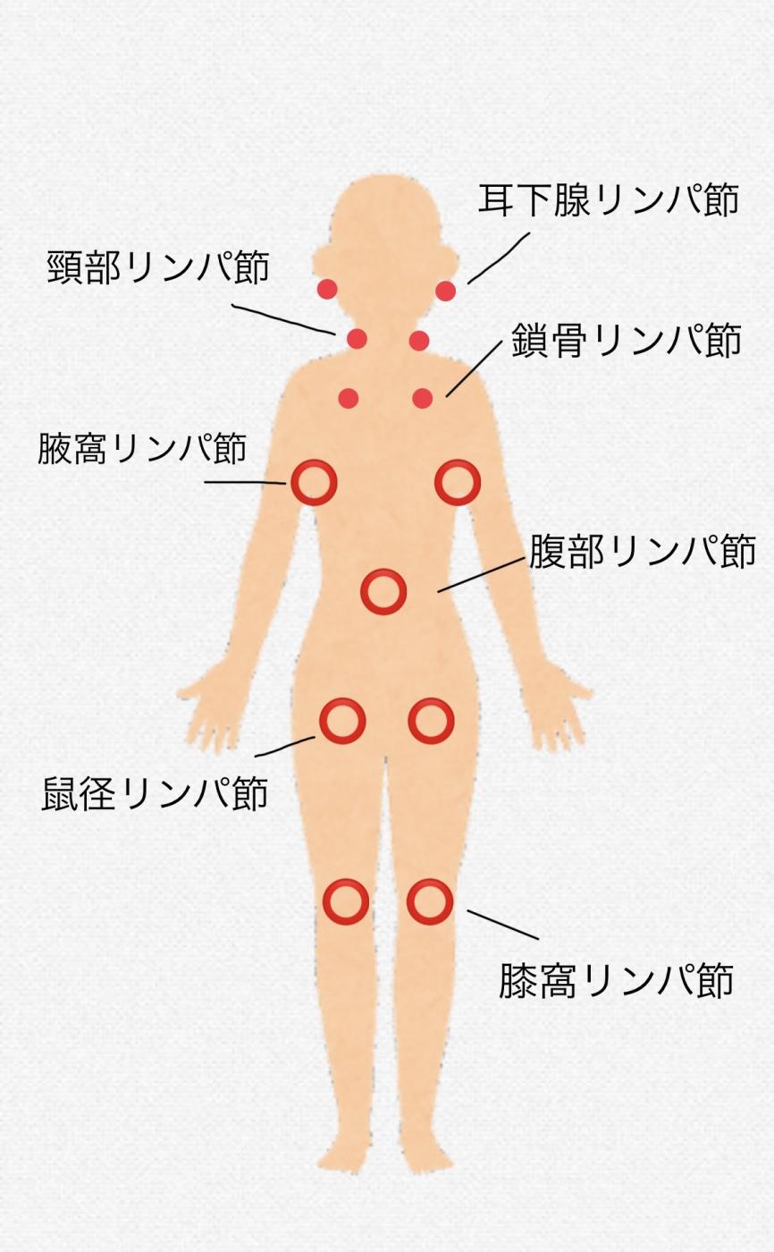 痩せにくい方募集してます！！原因を知りたい方も | 大阪心斎橋南船場のエステセレーヌ